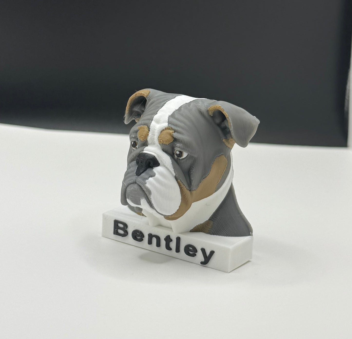 Custom 3D Printed Animal Keychain – Personalized Name Gift